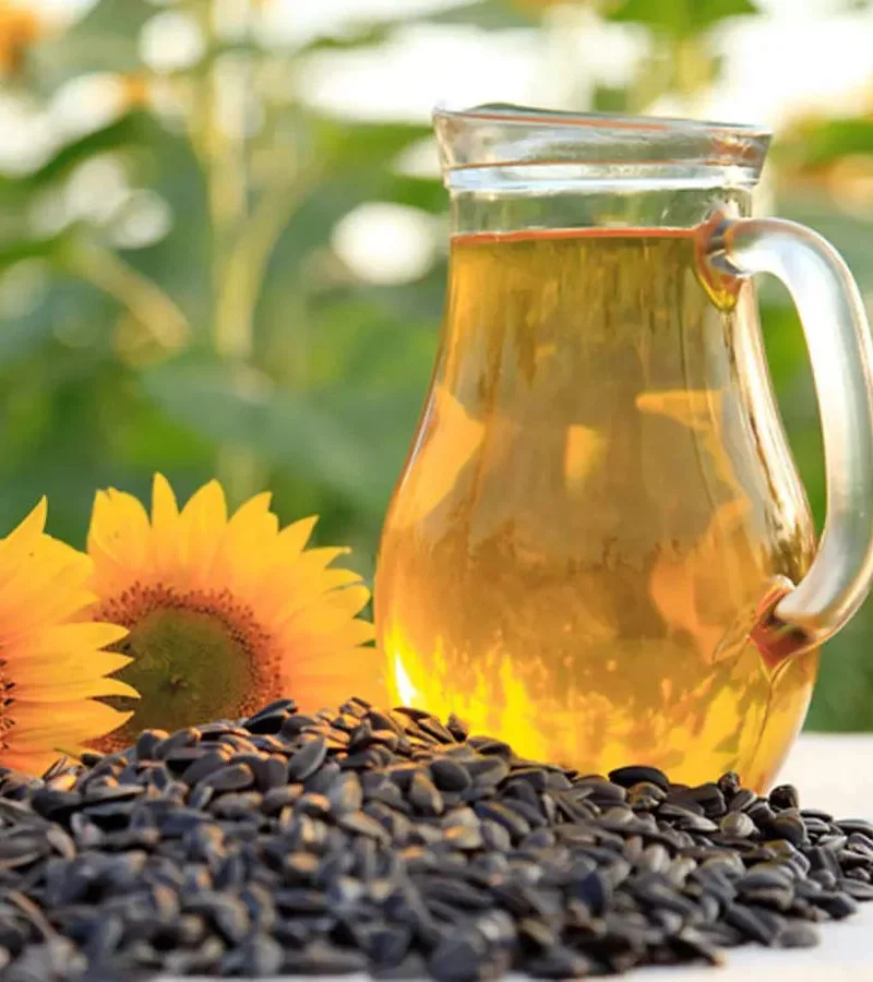 Sunflower Oil