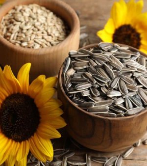 Sunflower Seeds