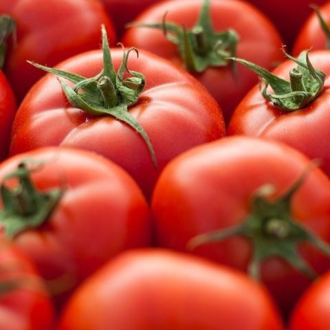 Tomato