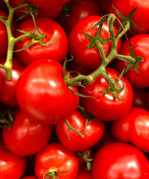 Tomatoes