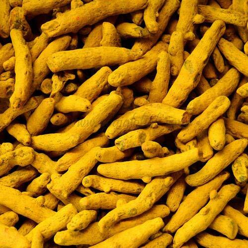 Turmeric Fingers