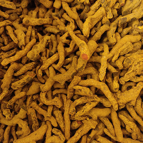Turmeric