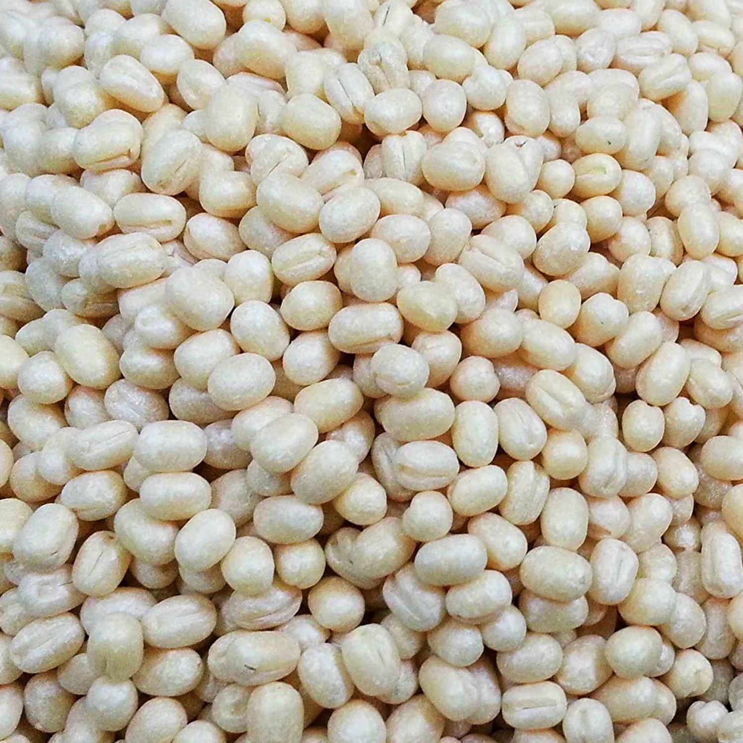 Urad dal