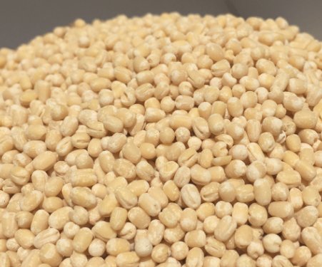 Urad Dal
