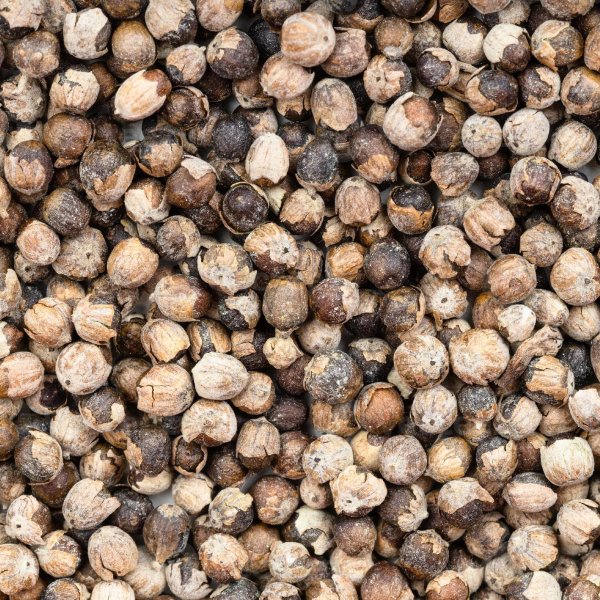 Vitex Monks Pepper