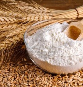 WHEAT FLOUR