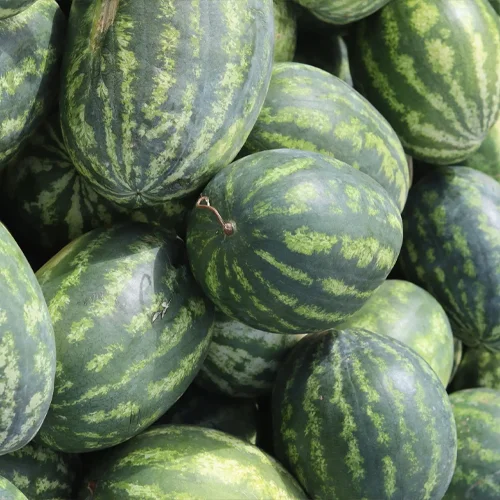 Watermelon