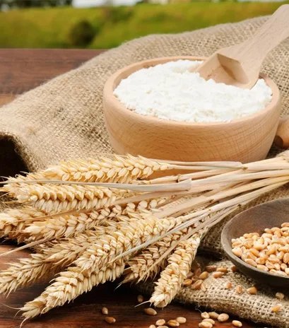 Wheat Flour