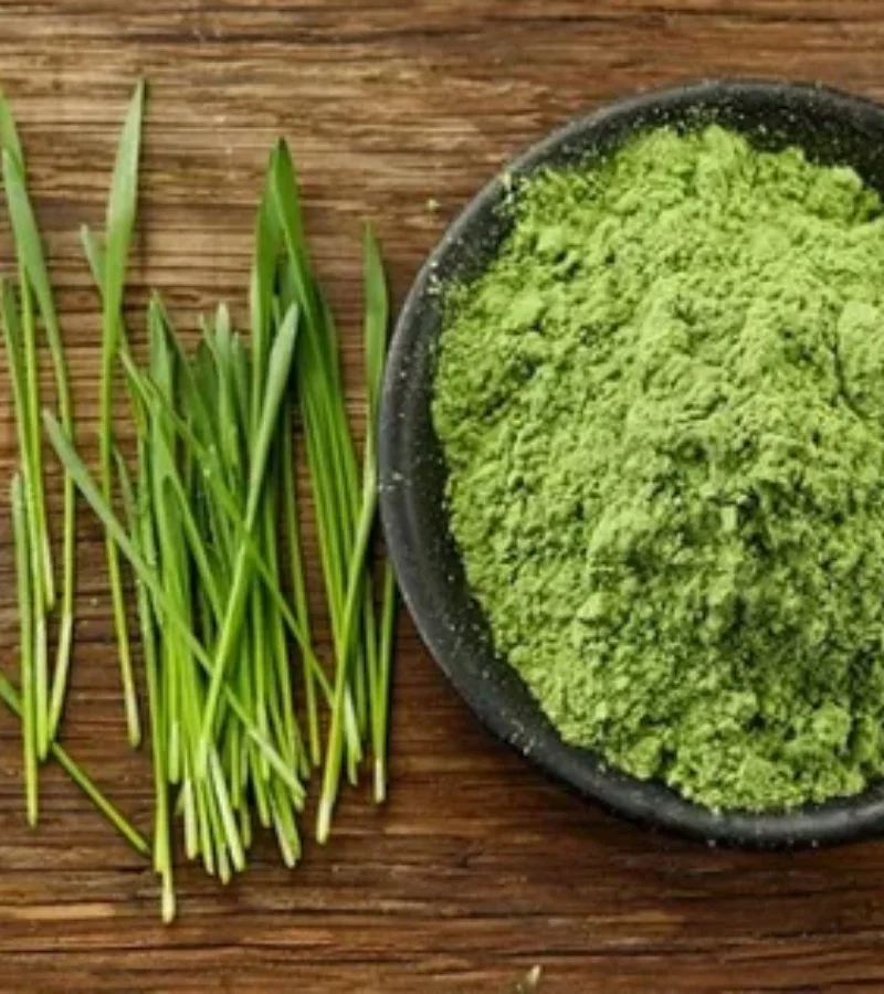 Wheatgrass Powder