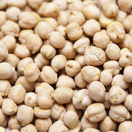 White Chickpea