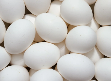 White Egg