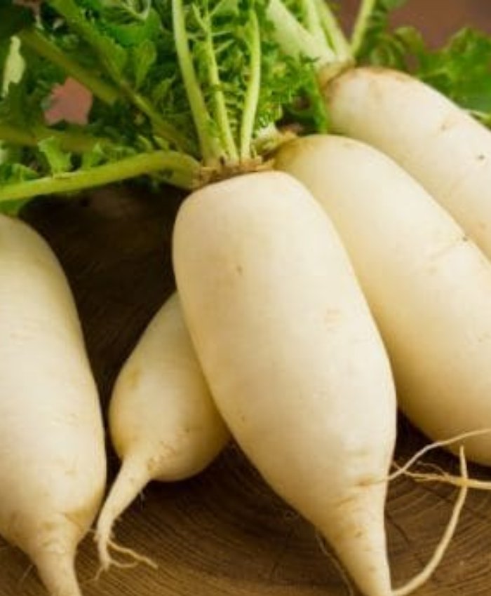 White Radish