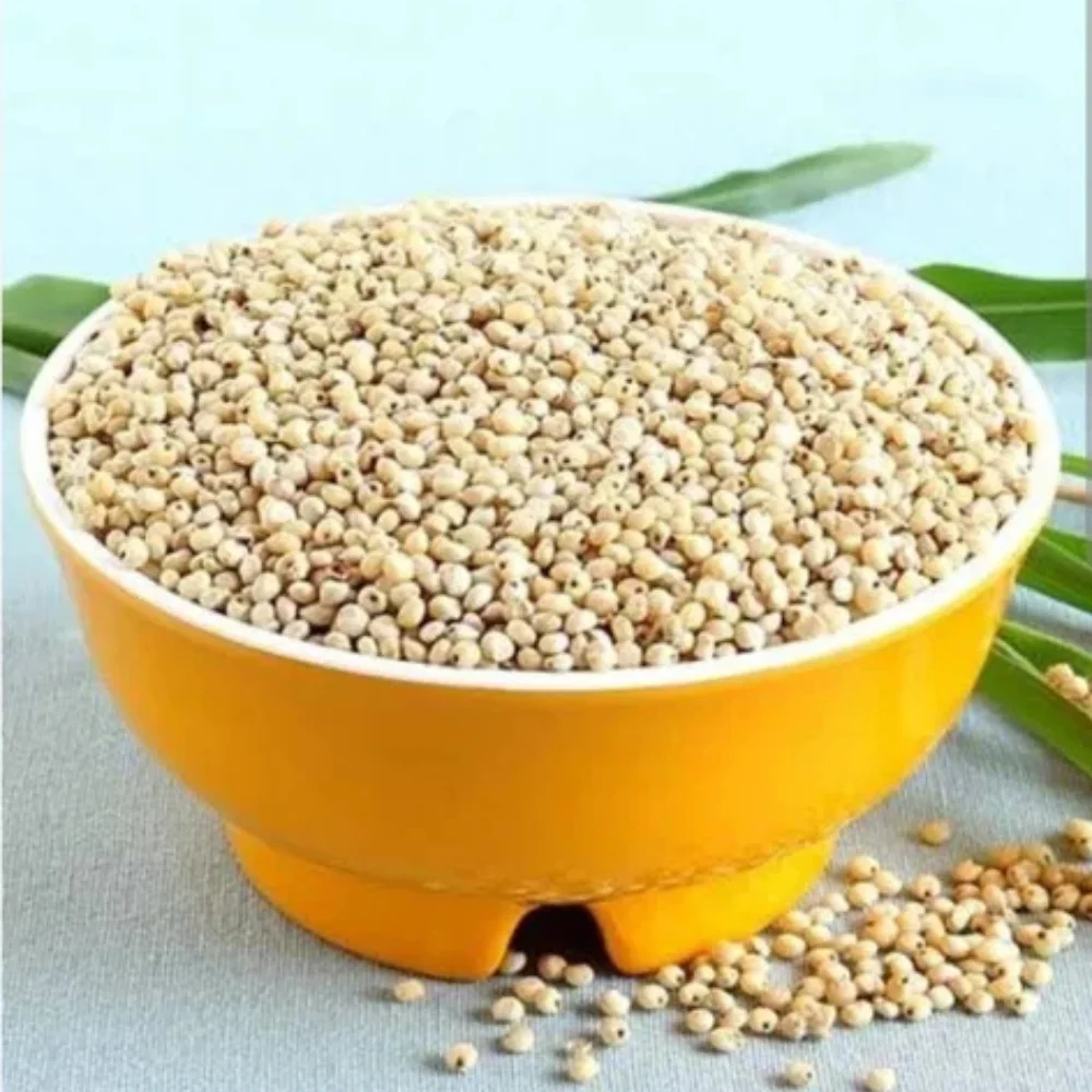 Whole Grain Yellow Jowar Seeds