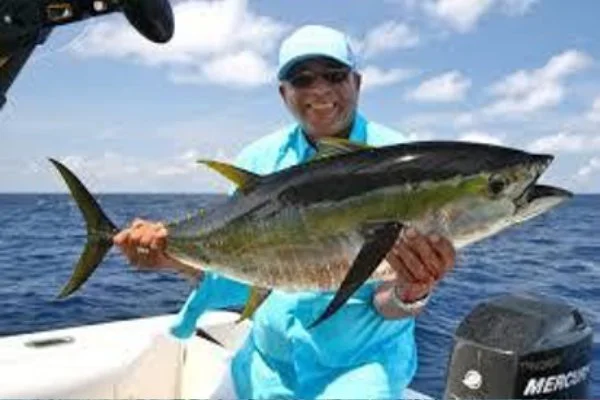 Yellowfin Tuna