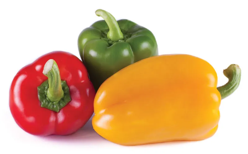 Bell Pepper