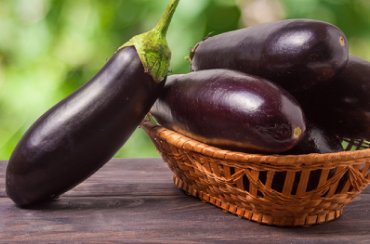 brinjal