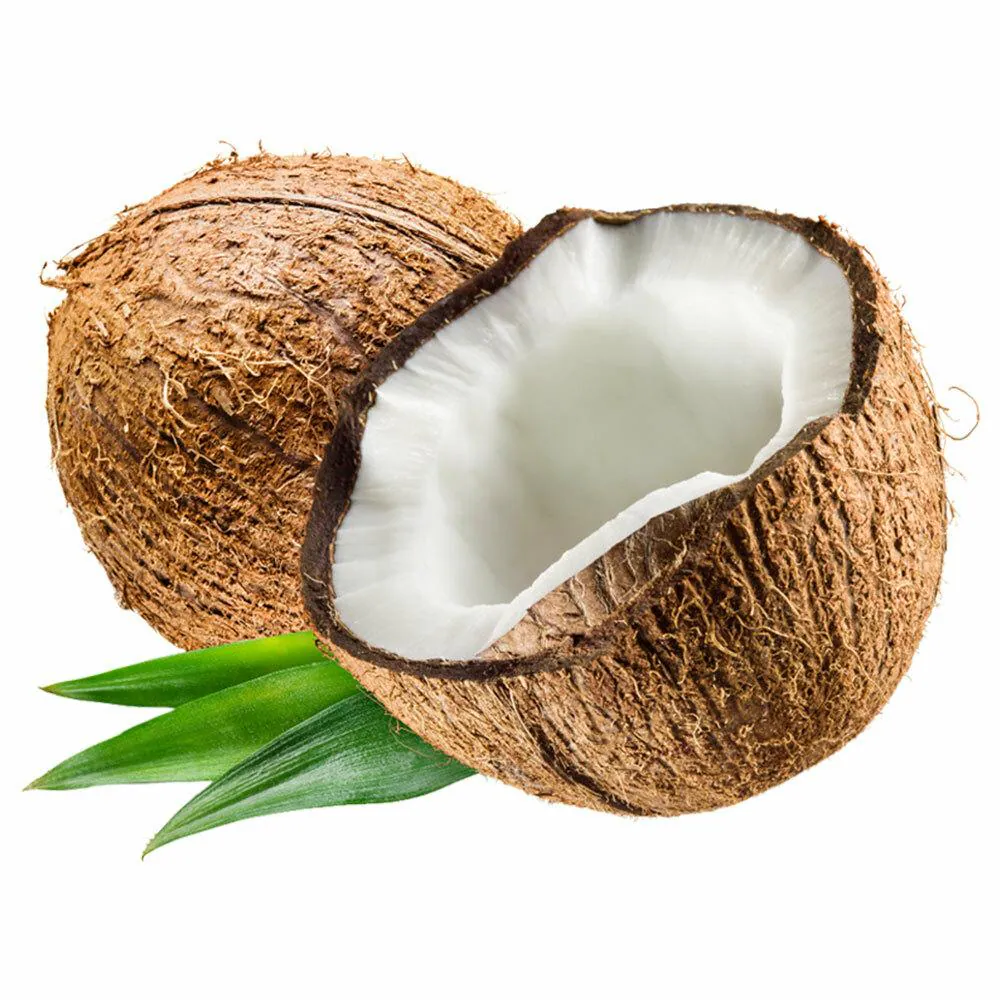 Coconut