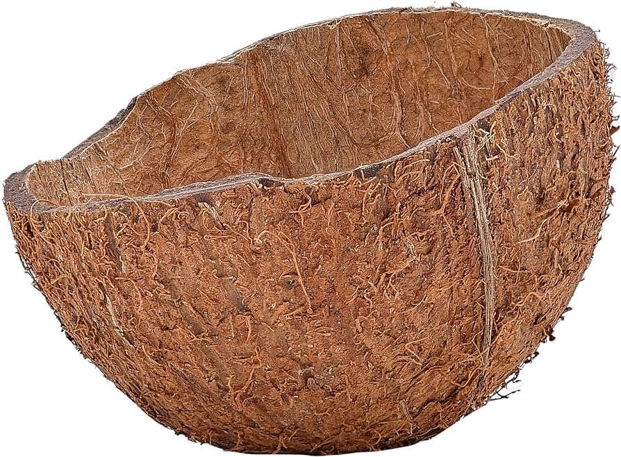 Coconut Shell