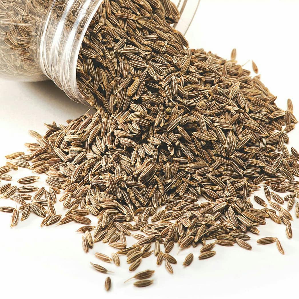 Cumin seeds 