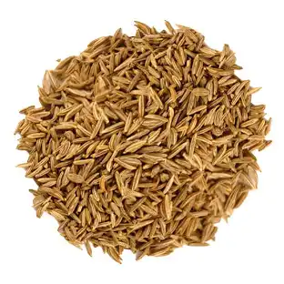 cumin seed