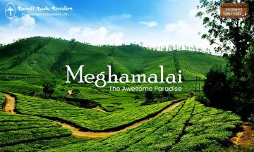👑 Theni, Meghamalai, and Thekkady: 40-Seater Grand Tour