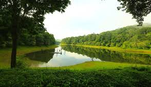 1-Day Express Tour: Madurai – Thekkady – Madurai 10+1 Luxury CARAVAN