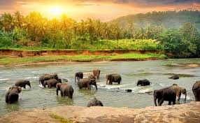 Luxury 1-Day Innova Crysta Express: Madurai to Thekkady