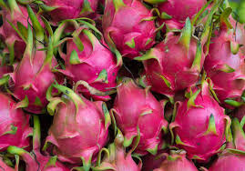 Dragon Fruit