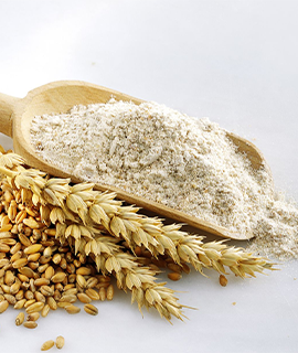 Wheat Flour