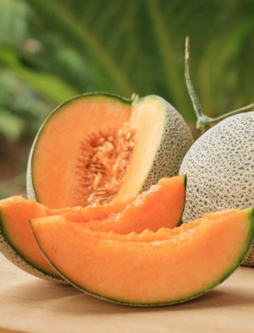 Muskmelon