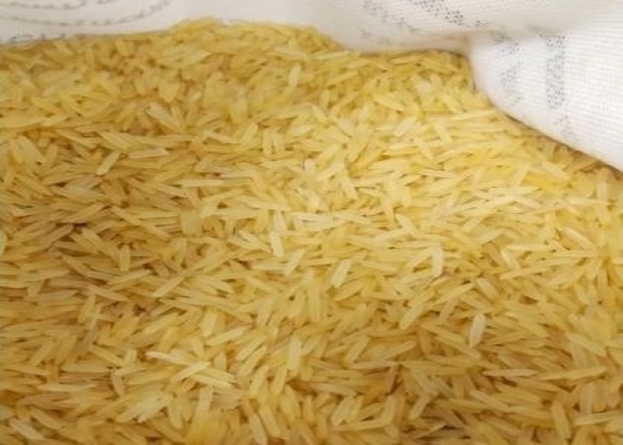 1121 Golden Sella Rice