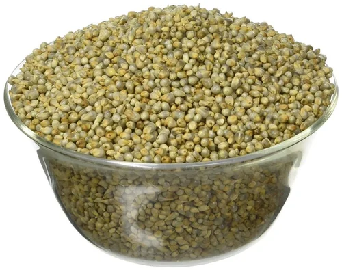 Green Millet