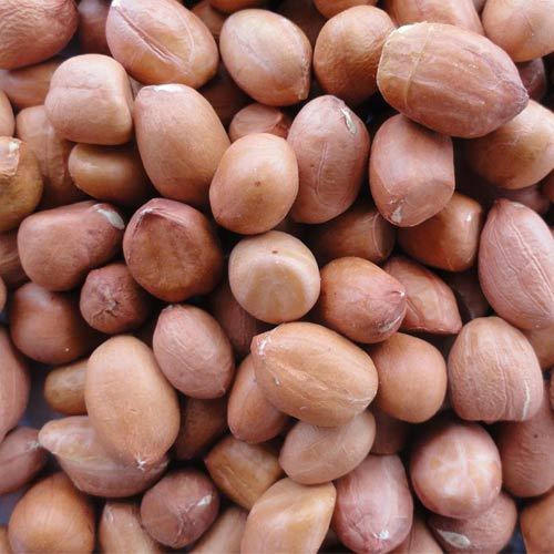 Groundnuts