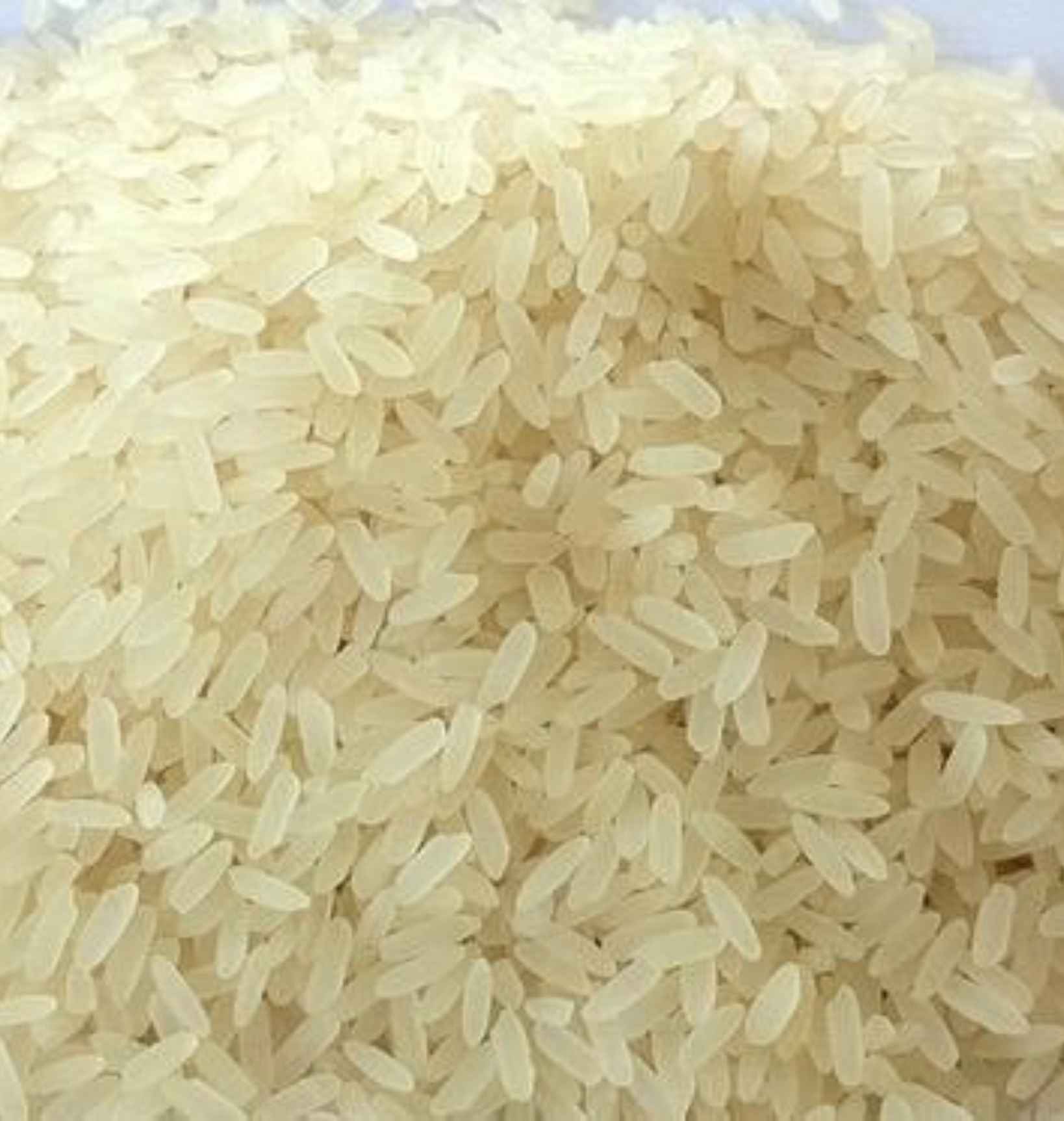 IR 36 long grain white