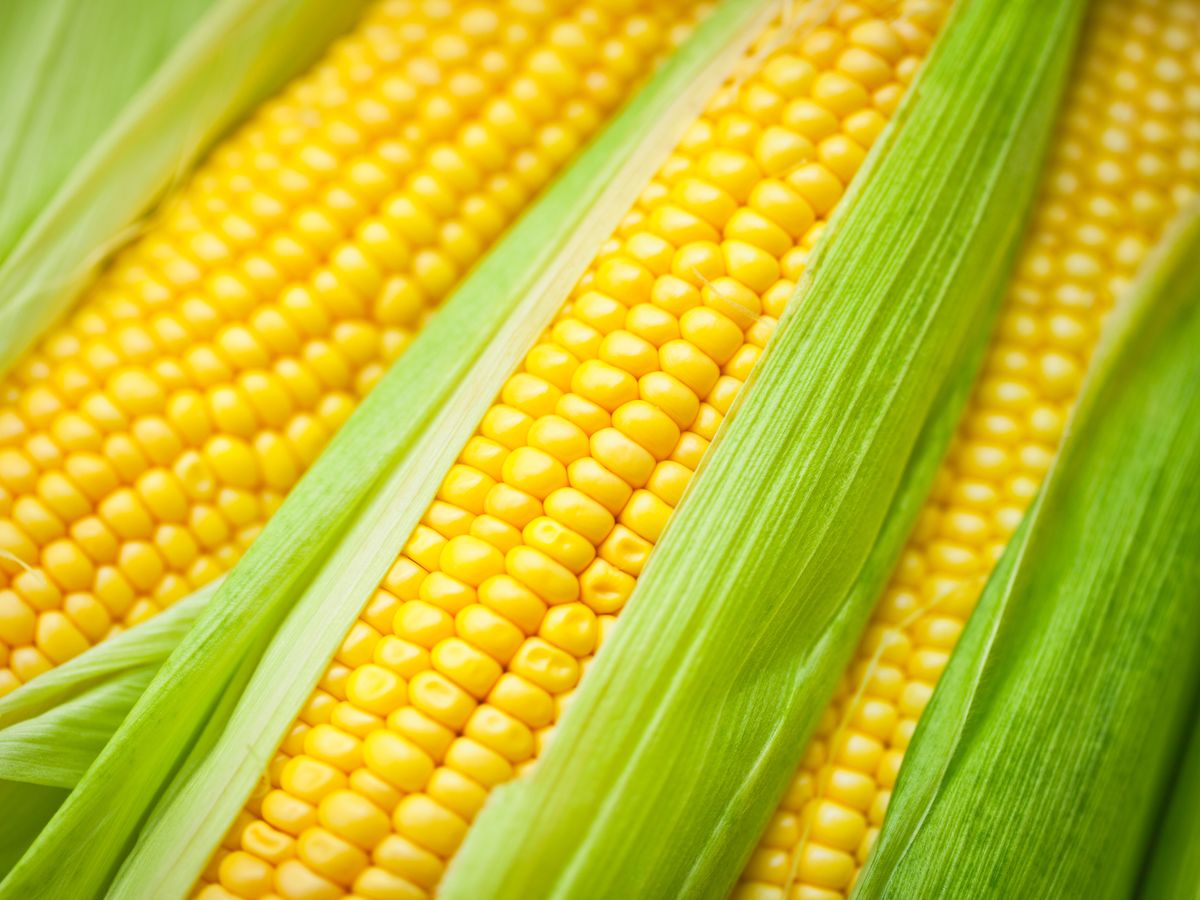 Corn