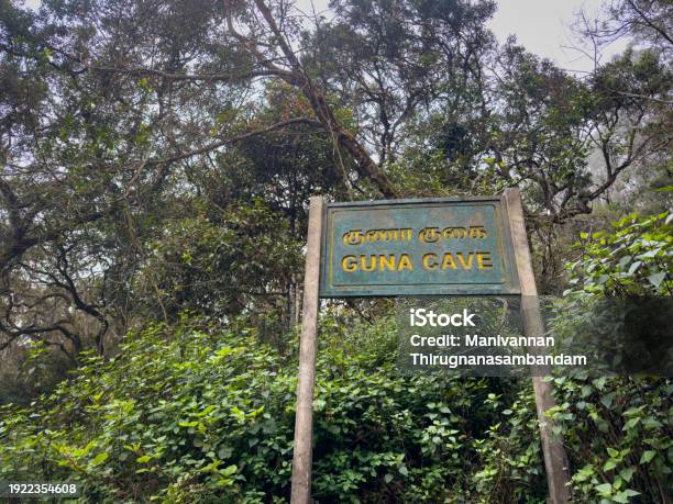 Theni, Megamalai, Thekkady, Munnar, Vagamon, Kodaikanal & Idukki Hill Station Tour Sedan