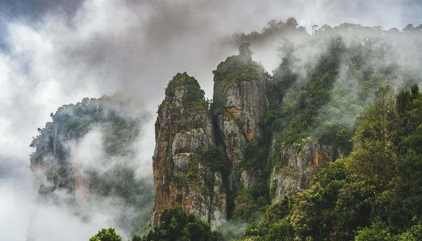 53 Seater Bus Rental Theni to Kodaikanal | Large Group Tour Package