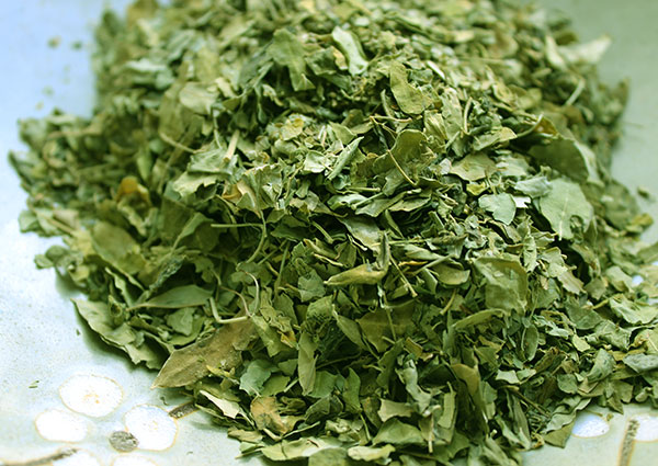 Moringa Dry Leaves