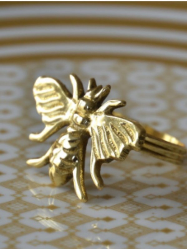 Napkin Ring & Holder