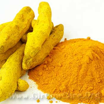 Turmeric Powder