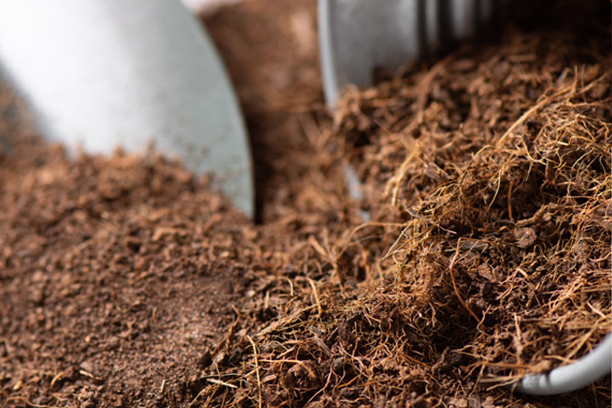 Cocopeat Powder