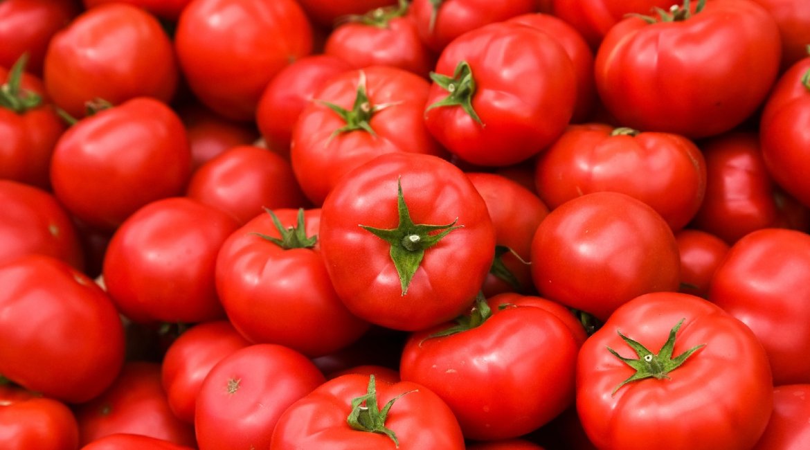 Tomato