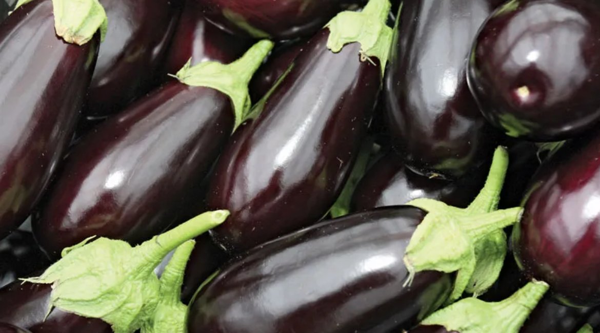 Eggplant
