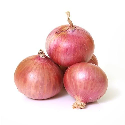Onion