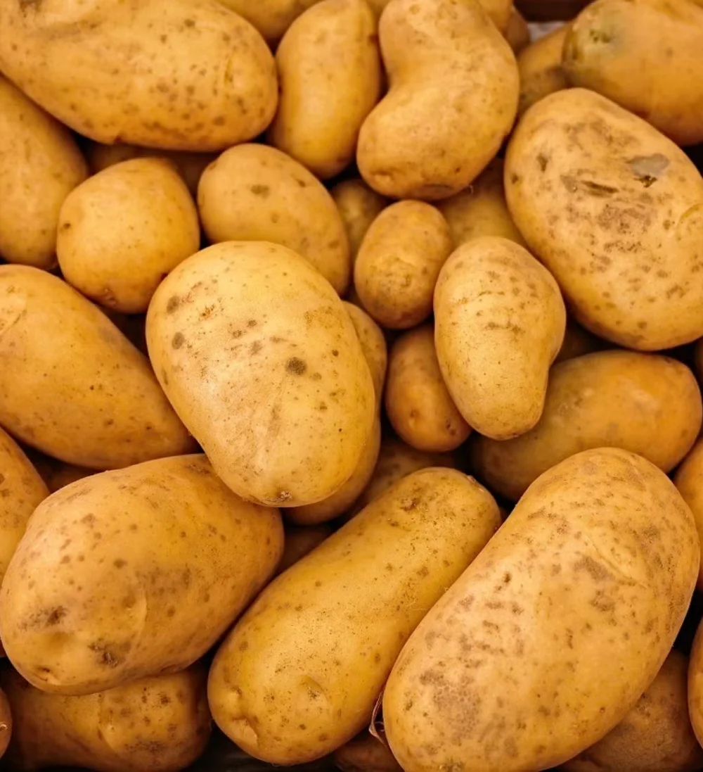 Potato