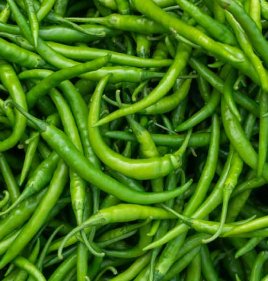 GREEN CHILLI