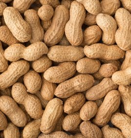 PEANUT