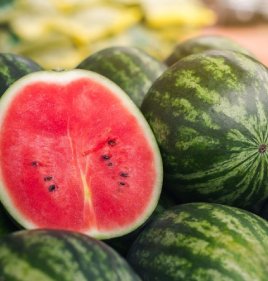 WATERMELON