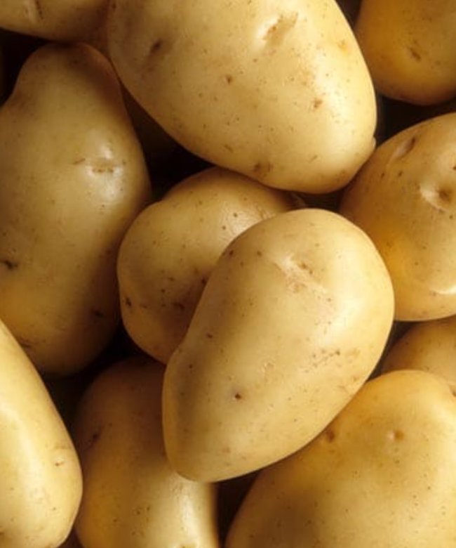 Potato
