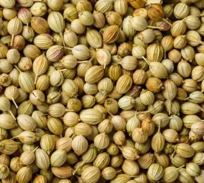 Coriander Seed